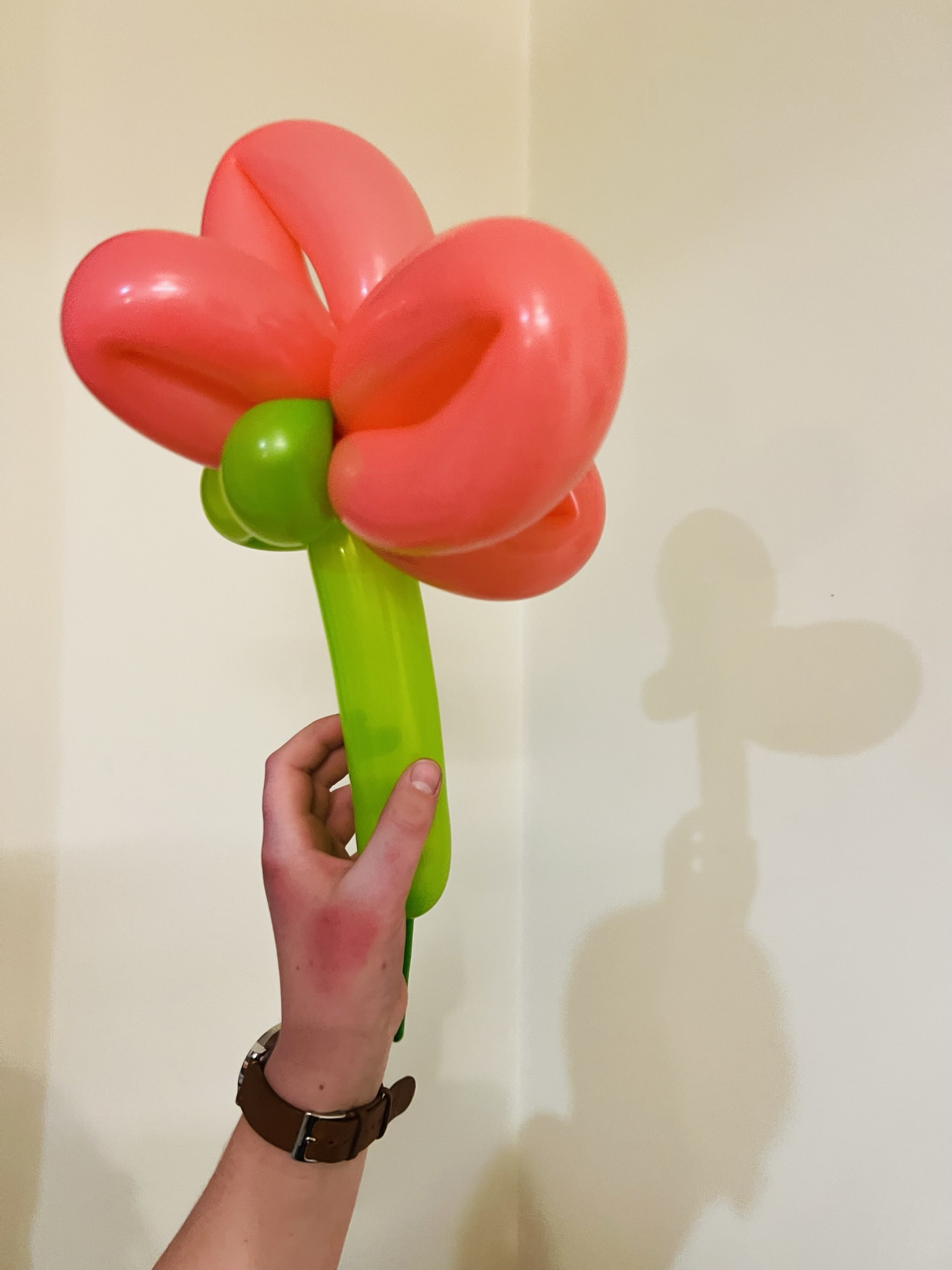 Balloon Flower